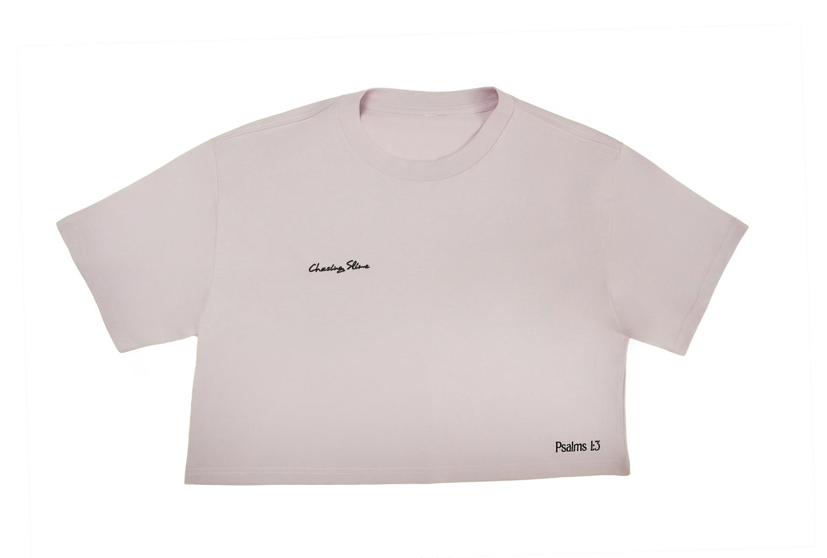 Chasing Crop Tee